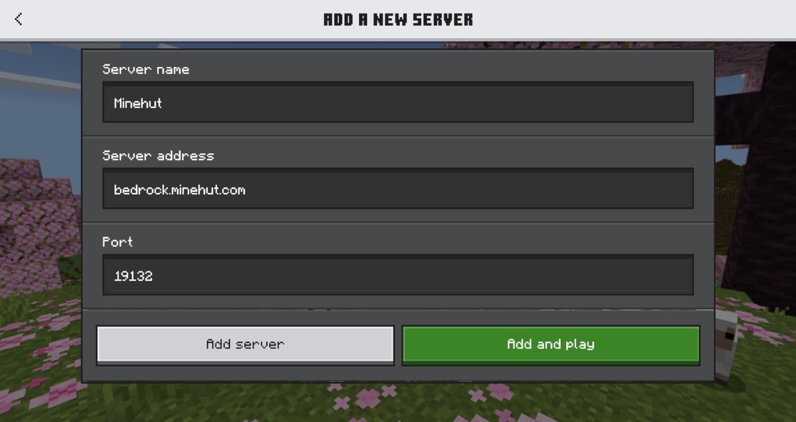 Minecraft Bedrock Edition — enter server details screen